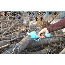 全自動修枝剪，高效又省力