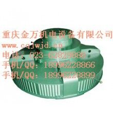 T、TL系列電機(jī)