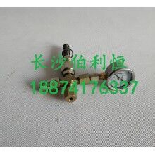 批發(fā)原裝正品攪拌機(jī)配件，三一JX3000潤(rùn)滑油泵芯